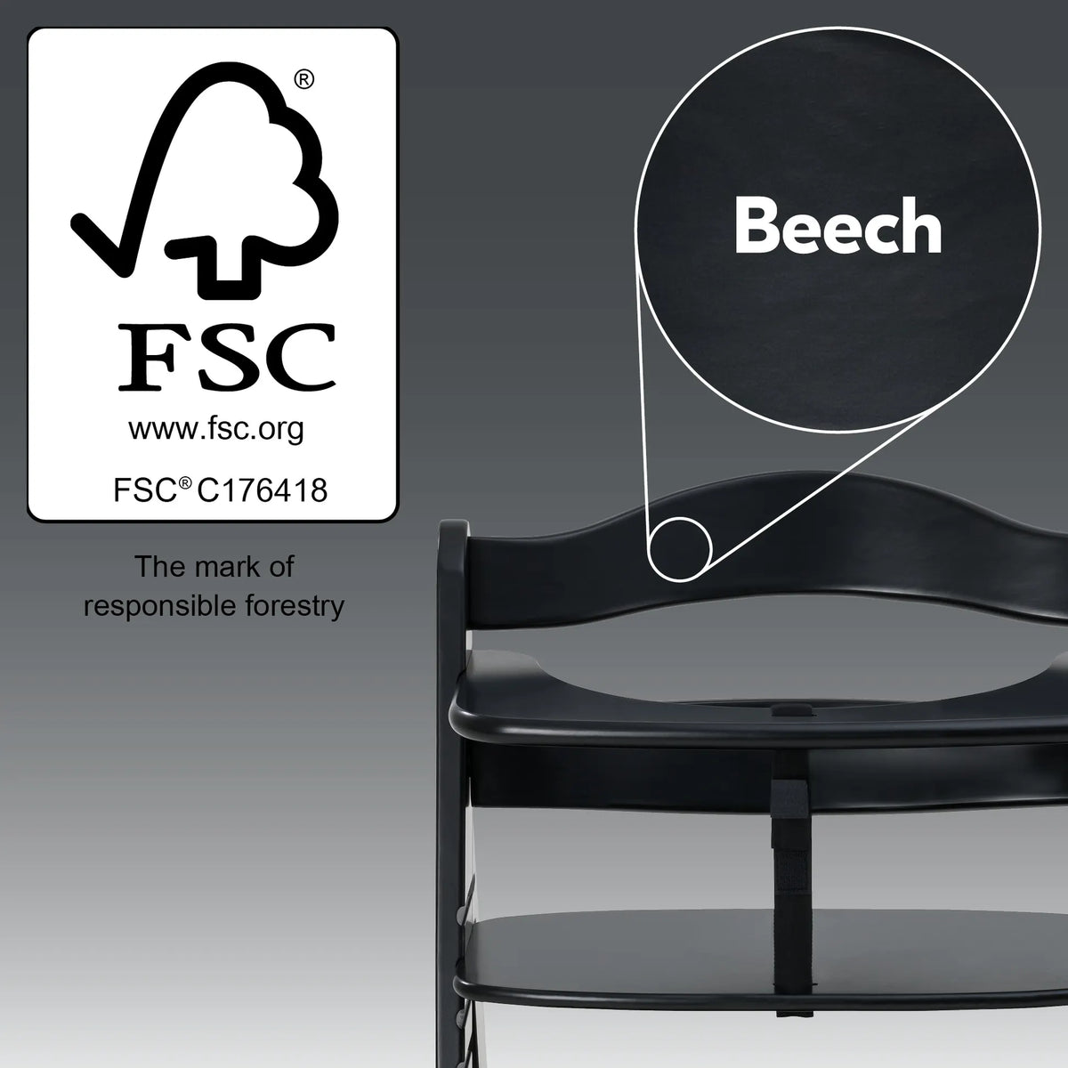 Hauck Alpha+ wooden highchair in Black - gallery image 6