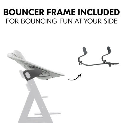 Alpha Bouncer Premium